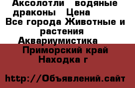 Аксолотли / водяные драконы › Цена ­ 500 - Все города Животные и растения » Аквариумистика   . Приморский край,Находка г.